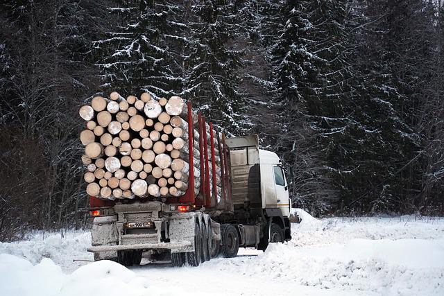 木材運搬するトラックの写真