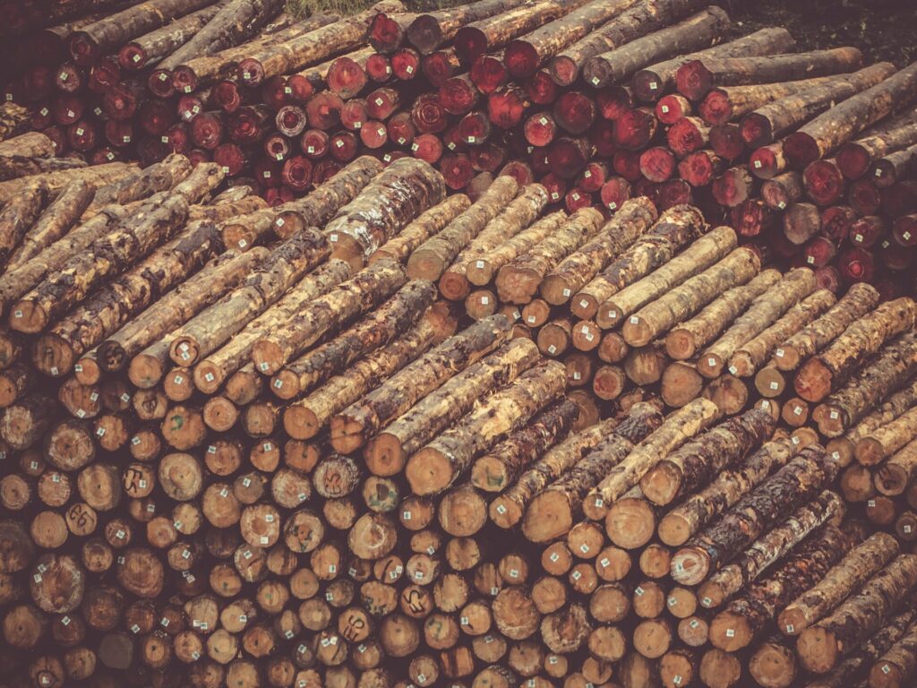 原木市場の写真
