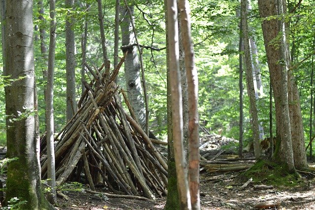 森の中の簡易な山小屋の写真